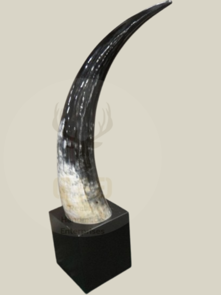 Decorative Horn