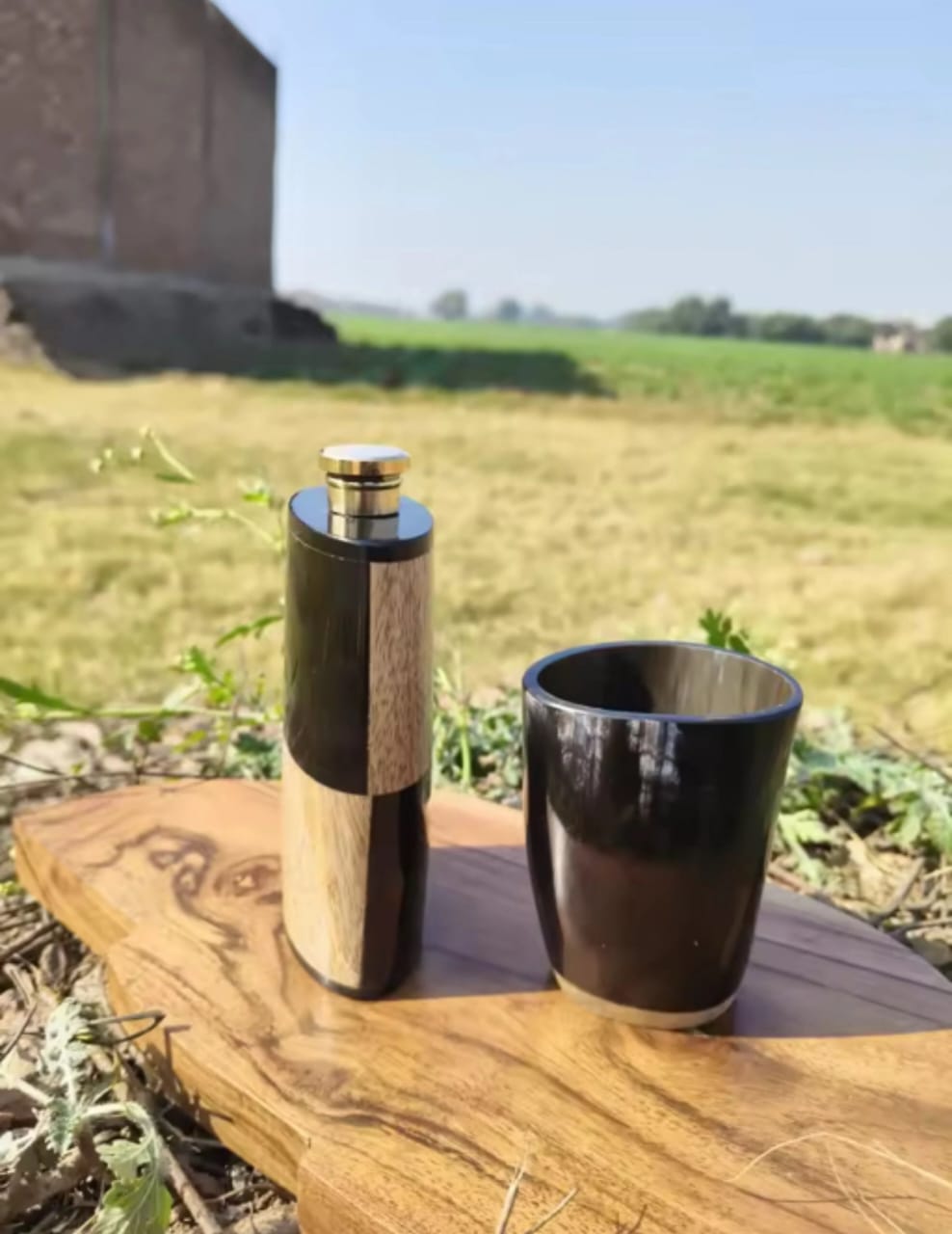 Horn Wine Bottle Whater Bottle