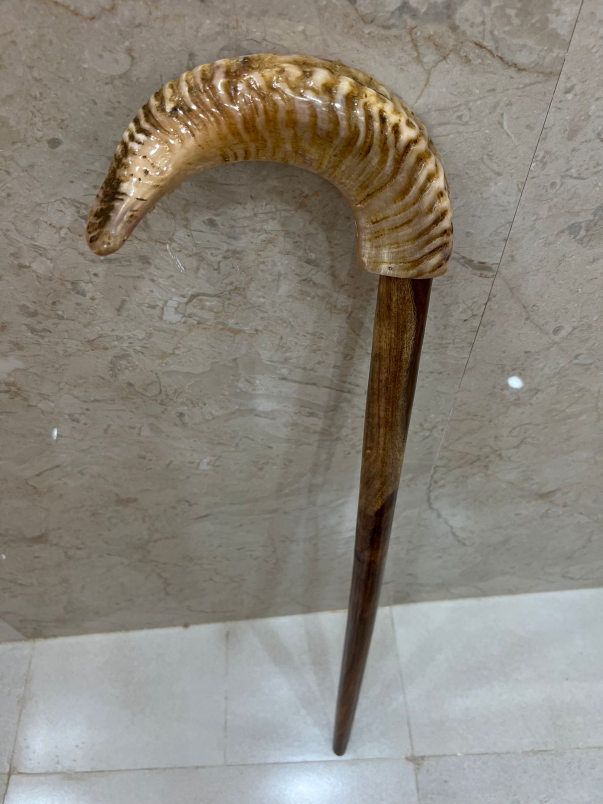 Wooden And Buffalo Horn Walking Stick With Its Unique Blend Of Rustic Wood And Smooth Horn